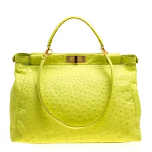 Fendi Peekaboo Bag front view